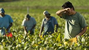 lavoratori schiavizzati